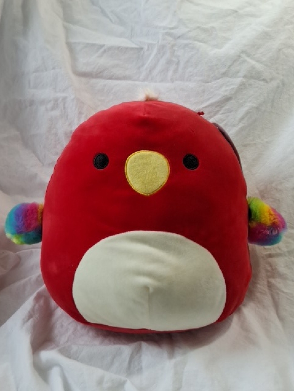 Squishmallows Paco the Parrot, 12", NWT